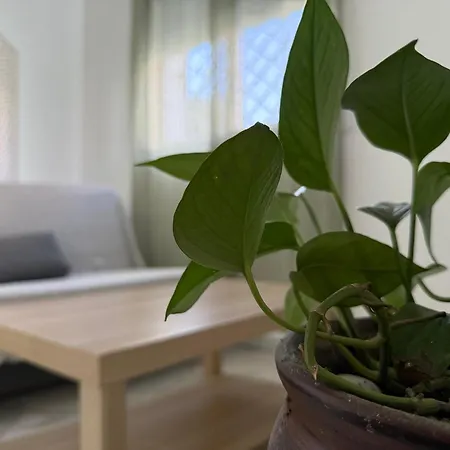 Salmedina Appartement *